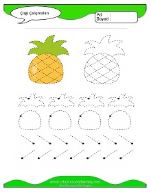 Çizgi Çalışma Sayfaları